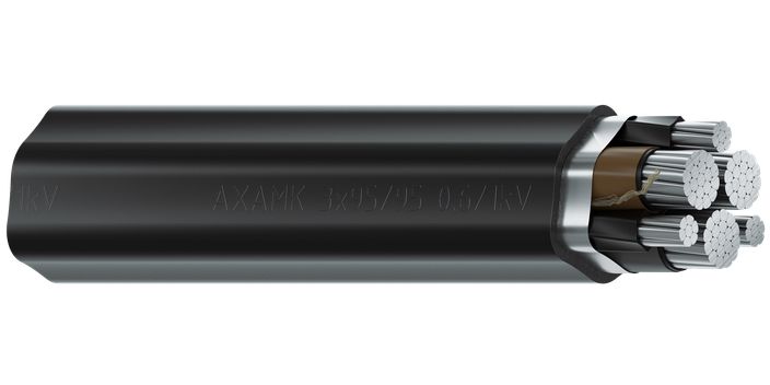 Image of cable AXAMK