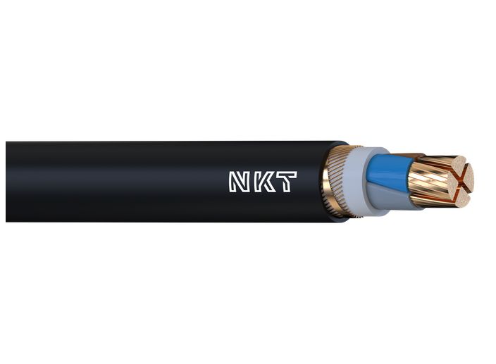 Product image of NYCWY 0,6/1 kV