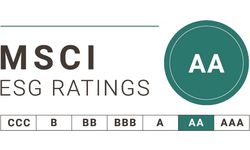 Image of MSCI ESG Rating